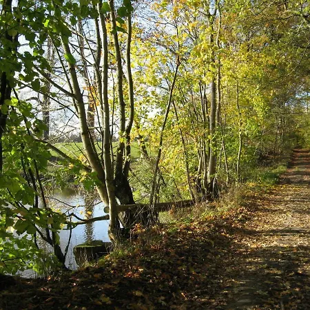 Spacious Holiday In Viroinval Near Forest
